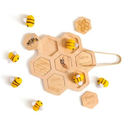 Дървена игра Жизненият цикъл на пчелата
