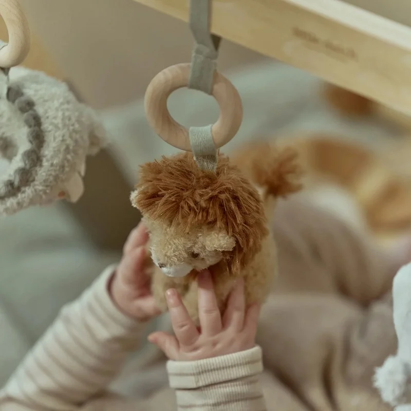 little dutch aktivna gimnastika